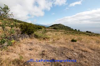 Propriété à N/a. Id-561 terreno de interés agropecuario en muy buena zona