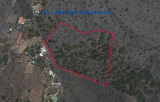 Finca rústica a Calle las moraditas 20. Id-649 terreno con muchos metros para el cultivo de árboles frut