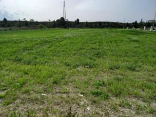 Industrial plot  Suelo