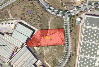 Industrial plot  Carrer dels teixidors