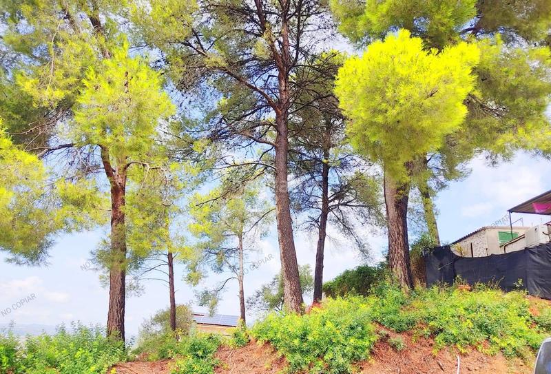 Foto 15e9cd43-f13f-481d-87a6-3b6b3ae10782. Terreny residencial a Abrera