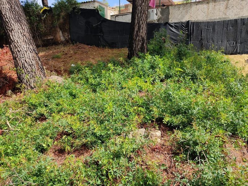 Foto ba8f5919-aa2b-4014-b69d-be348901c948. Terreny residencial a Abrera