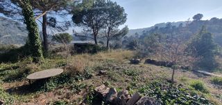 Wohngrundstück  Miramar