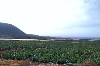 Maison à Silos (Los). Se vende casa más terreno en la costa de los silos, tenerife.