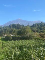 Proprit en Matatodos. Inmobiliaria osner vende