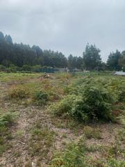 Finca rústica a La Vega - El Amparo - Cueva del Viento