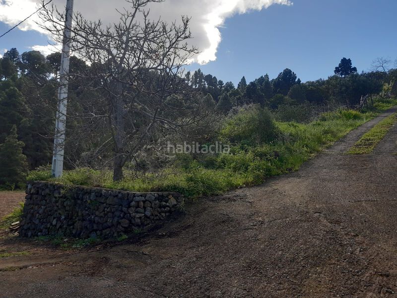 Foto 0ea12a01-3a9a-4d54-b52f-8022a418f816. Finca rústica a La Vega - El Amparo - Cueva del Viento Icod de los Vinos