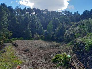 Finca rústica a La Vega - El Amparo - Cueva del Viento. Inmobiliaria osner vende