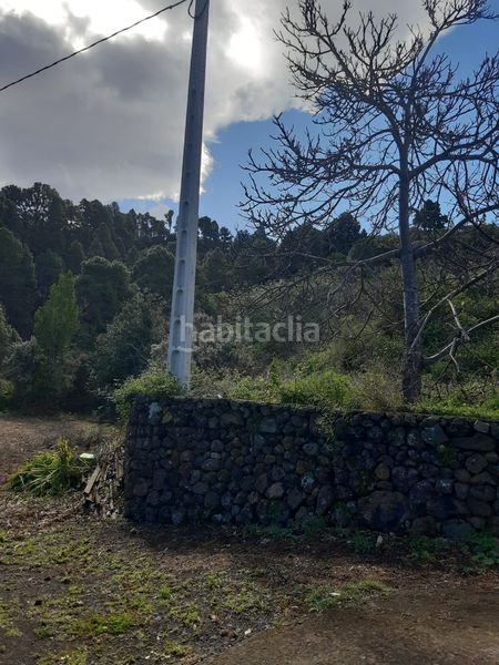 Foto d798560b-f454-42ff-8035-e33c226145d8. Finca rústica a La Vega - El Amparo - Cueva del Viento Icod de los Vinos