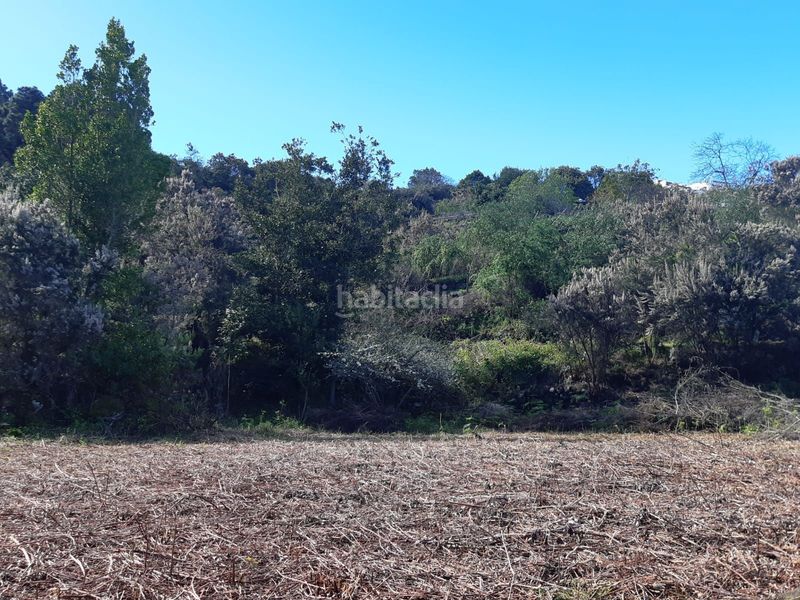 Foto f4851e1c-1745-414e-b98a-bee84b505a51. Finca rústica a La Vega - El Amparo - Cueva del Viento Icod de los Vinos