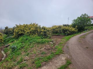 Finca rústica a La Vega - El Amparo - Cueva del Viento. Inmobiliaria osner vende