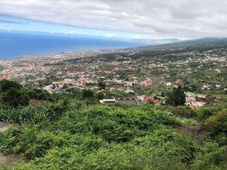 Fondo rustico in La Vega - El Amparo - Cueva del Viento. Inmobiliaria osner vende
