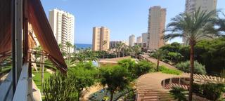Lloguer Pis a Playa Muchavista. Piso en playa muchavista, el campello