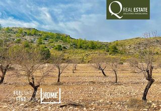 Terreno residencial en Las Virtudes. Terreno de más de 50,000 m2 con cultivo de almendros en las virt