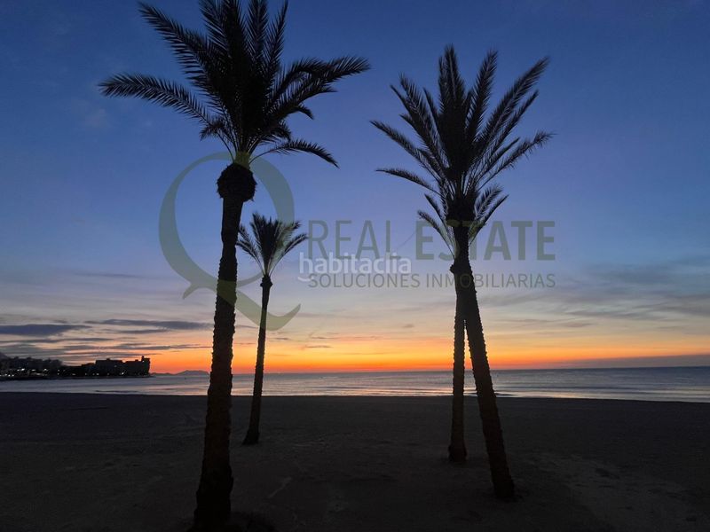 Foto dda47e6f-f443-4942-b905-651b5c59ef75. Pis a Campello Playa Campello (el)