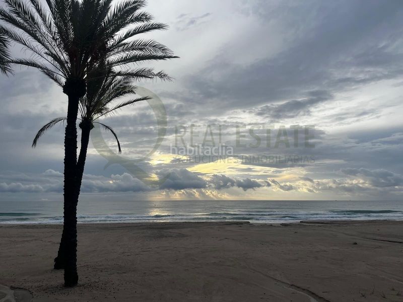 Foto fcb07358-b595-4eea-b9b3-01b0e11ac436. Pis amb calefacció aparcament piscina a Playa Muchavista Campello (el)