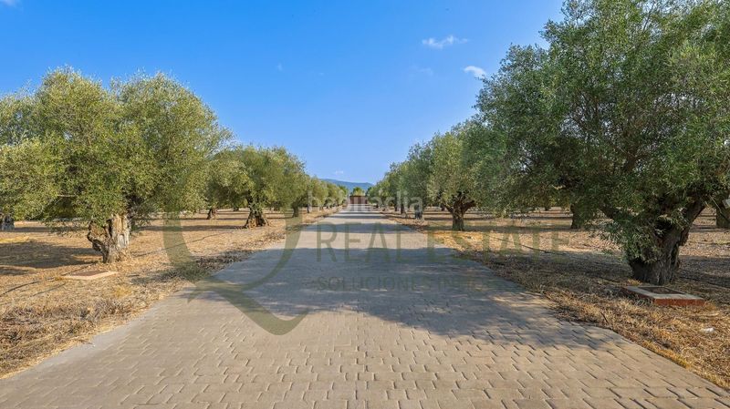 Foto c151c15b-6d13-4bfb-a733-5e829a6b1af8. Xalet amb aparcament a Beneixama