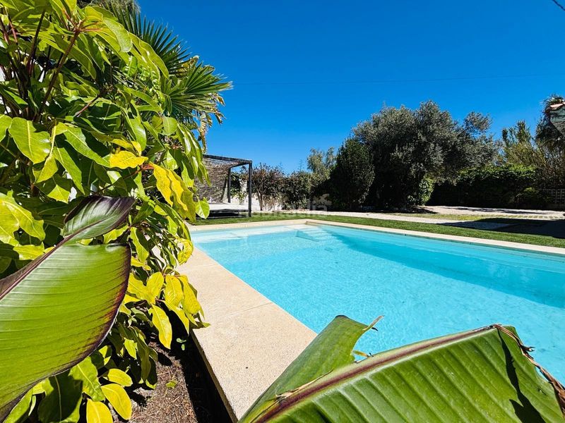 Foto eb4d7b46-5824-41d4-a4a5-fbfb5ede66fc. Xalet amb aparcament piscina a Almajada-Ravel Mutxamel