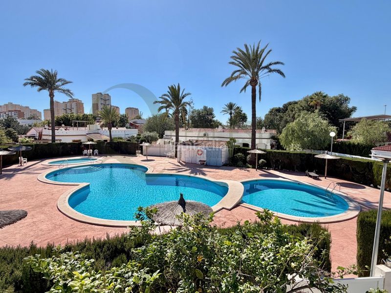 Foto 47ccffa7-1ed2-45f1-81c9-86c26240f562. Chalet villa mediterránea con piscina y jardín en muchavista para familias. en Campello (el)
