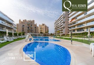 Piso  Calle violoncellista vicente perello. Vivienda en pau 5 con rentabilidad inmediata y excelentes zonas