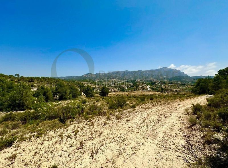 Foto 0d115d6e-90d7-4035-8f80-45761405c60d. Terreny residencial a Tibi