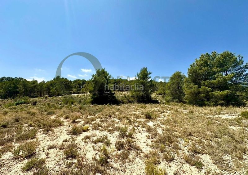 Foto 8c251538-4849-4609-b04d-d9d4840dd634. Terreny residencial a Tibi