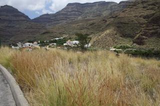 Terreno residencial en San Bartolom Interior