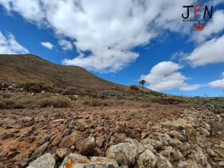 Finca rústica a Vallebrón. Se vende en vallebron