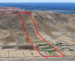 Masa  N/a. Finca en produccin de 71.585 m