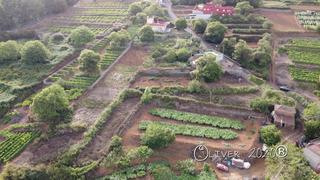 Terreny residencial a Matanza de Acentejo (La). Finca de 2.000 m2 con 600 m2 urbanos en zona rural de la matanza