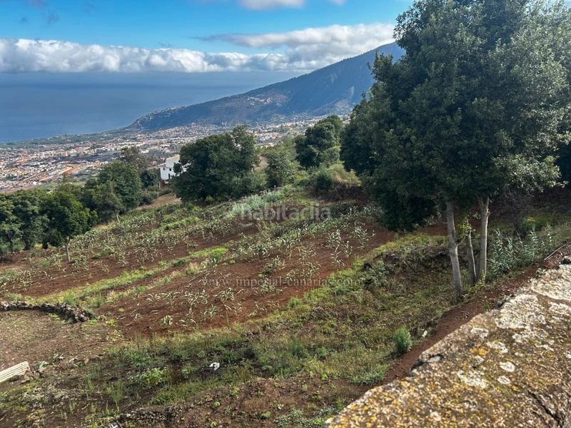 Foto 0a67b6a8-25f0-403e-9e07-ab59e07e4e9f. Finca rústica a La Perdoma - San Antonio - Benijos Orotava (La)