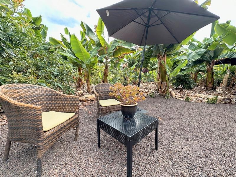 Foto 3818a83f-2ddd-4dc8-ba1f-57eeed8ed55a. Lloguer apartament a Las Cuevas - Los Gómez Orotava (La)