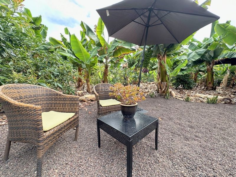 Foto 3818a83f-2ddd-4dc8-ba1f-57eeed8ed55a. Rent apartment in Las Cuevas - Los Gómez Orotava (La)