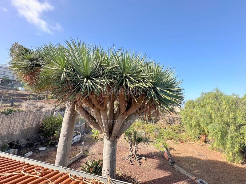 Foto a38f74fc-3592-4de2-8f45-0edd6b3250c1. Mas avec cheminée parking piscine dans Victoria de Acentejo (La)