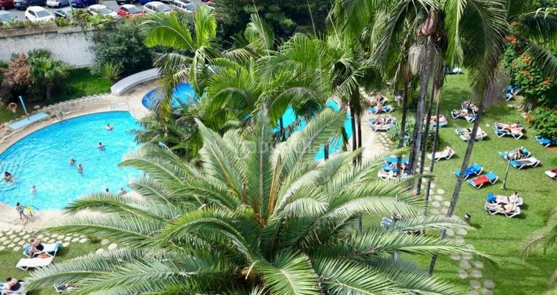 Foto c4beffa5-25e6-496f-aadc-26ef0d6ff67a. Estudi a Zona Botánico Puerto de la Cruz