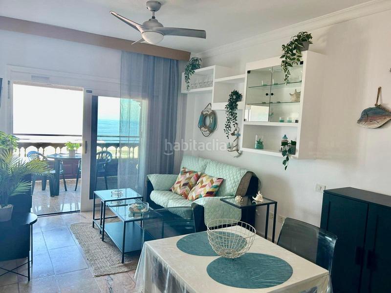 Foto e6fb2fb7-8b51-4ee0-a407-68c5f82953cc. Estudi a Zona Botánico Puerto de la Cruz