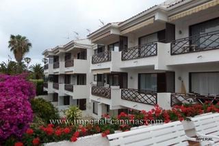 Miete Studiowohnung in Zona Botánico. Perfecto para estancias por temporada en el norte de tenerife