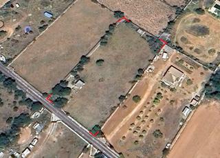Rural plot in N/a. Terreno en santa margalida de 3600 m2 aprox con caseta