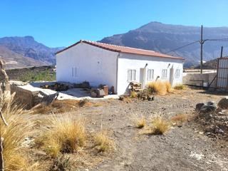 Terreny residencial a San Nicolás de Tolentino. Finca de 11.000 metros con vivienda y piscina en la aldea de san