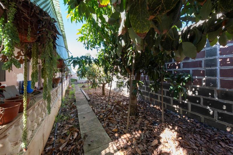 Foto 44f5632e-8d4b-44f0-9f3a-21c4ab410a16. Country house in Gáldar pueblo Gáldar