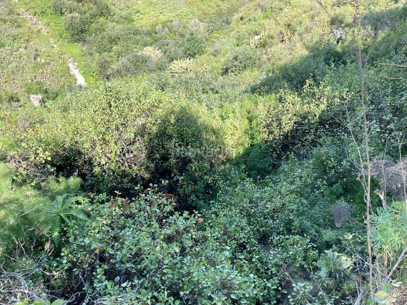 Foto f49ca741-b201-424d-8380-aa56154eb67e. Terrain résidentiel dans ciudad del campo 23 dans Tamaraceite Palmas de Gran Canaria (Las)