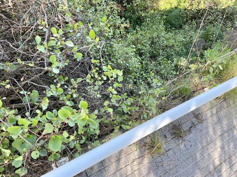 Foto 541816e4-a399-4ca0-be3b-ae62a49d2d47. Wohngrundstück in ciudad del campo 23 in Tamaraceite Palmas de Gran Canaria (Las)