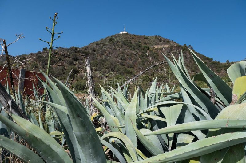 Foto daf59526-9088-46e7-8434-f3c57a06c63b. Terreny residencial a Valsequillo de Gran Canaria