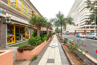 Traspàs Local Comercial  Juan xxiii. Traspaso floristería en las palmas 32 años de éxito y pasión por