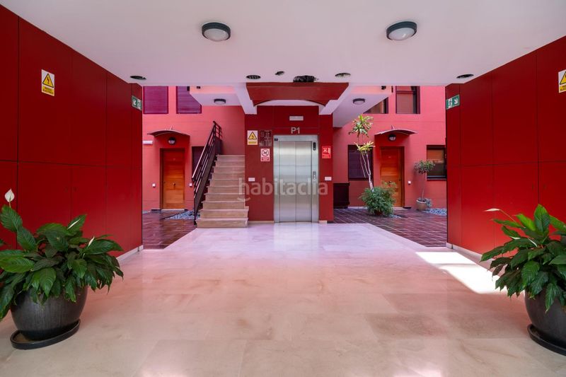 Foto 3ab3a0b8-98c6-4cd4-bcb1-89ea68526f88. Planta baixa a Siete Palmas Palmas de Gran Canaria (Las)