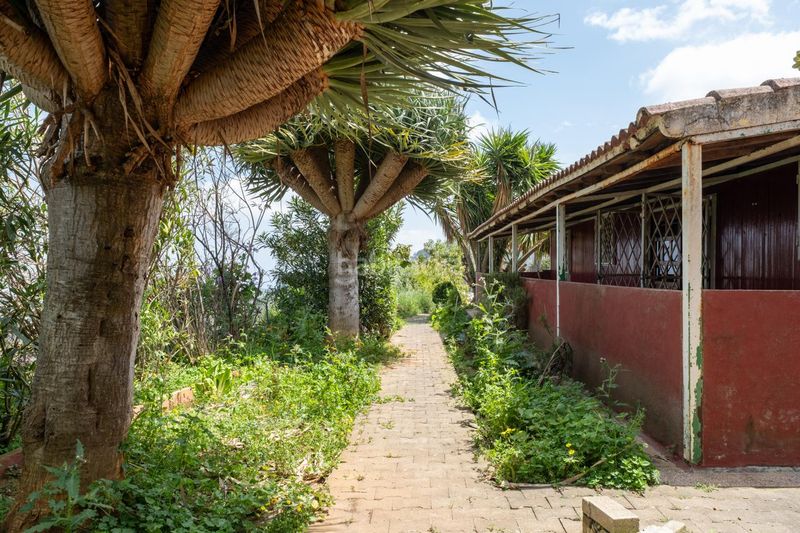 Foto 520ee4cc-8b1b-405c-bcda-384de4c4a600. Casa a Vega de San Mateo