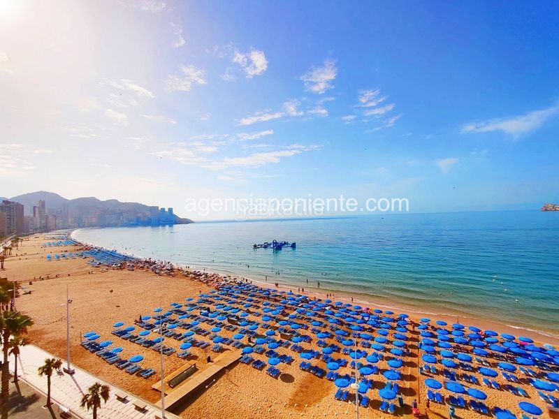 Foto 6e5a1596-df84-4c49-95de-ff37ed1e6a44. Rent flat with heating parking in Playa Levante Benidorm