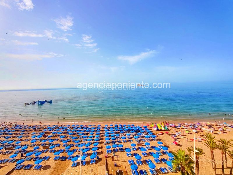 Foto cfcab167-fea1-45c1-a544-47c9c84b8ed3. Rent flat with heating parking in Playa Levante Benidorm