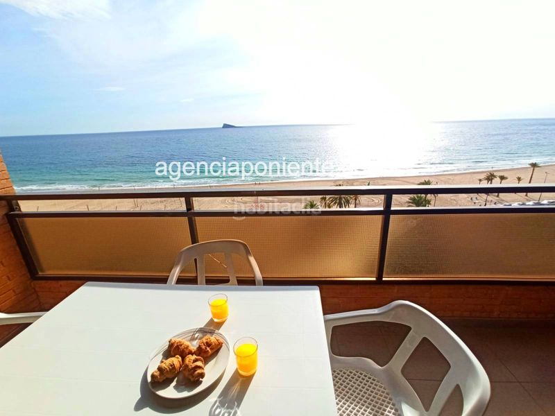 Foto 196777e2-5f63-4d30-b2fd-d9fe259e6e7d. Rent apartment in Playa Poniente Benidorm