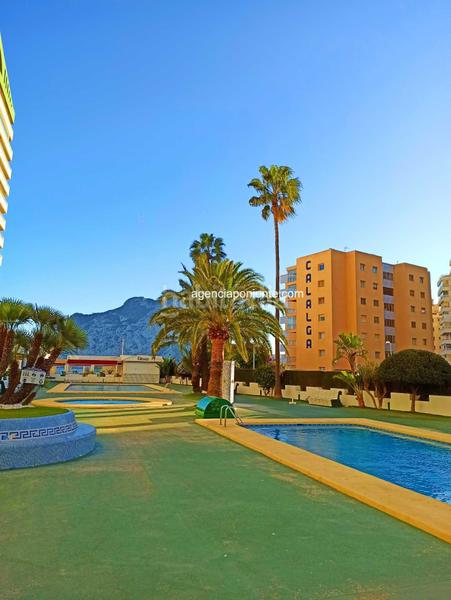 Foto 1b8c9f90-e7f2-4987-b25b-079adac58aa8. Location appartement avec piscine dans Zona Levante - Playa Fossa Calp